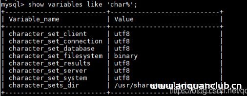 图片[2]-解决Docker之mysql容器数据库更改不生效的问题_docker-渗透云记 - 专注于网络安全与技术分享