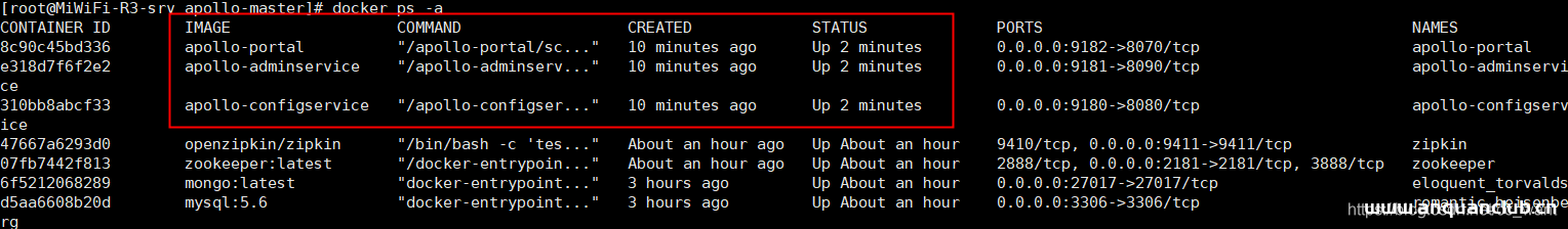 图片[10]-CentOS7使用docker部署Apollo配置中心的实现_docker-渗透云记 - 专注于网络安全与技术分享