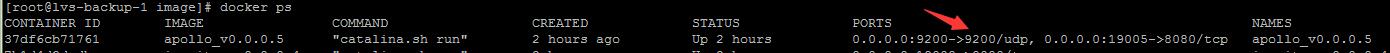 图片[2]-解决docker指定udp端口号的问题_docker-渗透云记 - 专注于网络安全与技术分享