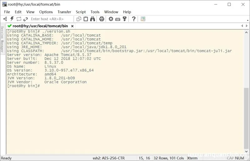 图片[8]-Linux安装与卸载Tomcat8的详细图文教程_Tomcat-渗透云记 - 专注于网络安全与技术分享