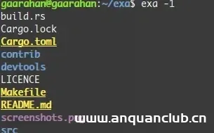 图片[3]-linux exa命令(比ls更好的展示文件体验)_Linux-渗透云记 - 专注于网络安全与技术分享