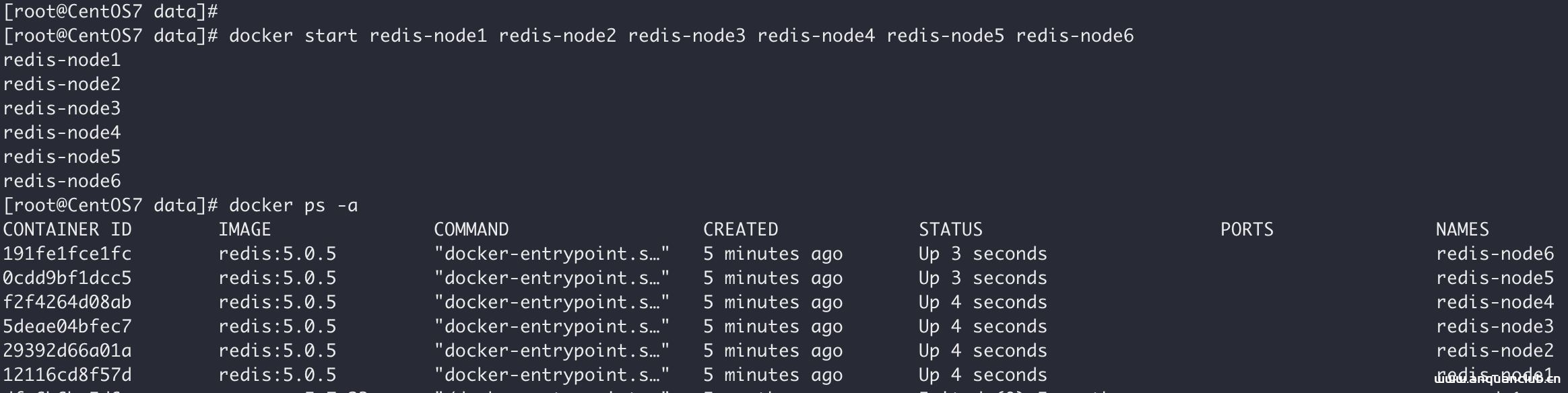 图片[2]-基于Docker搭建Redis主从集群的实现_docker-渗透云记 - 专注于网络安全与技术分享