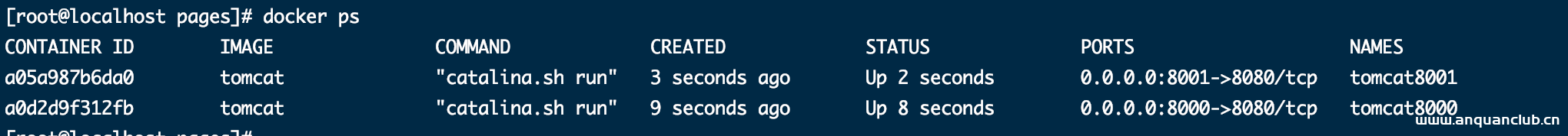 图片[4]-Docker Volumn容器间共享数据的实现_docker-渗透云记 - 专注于网络安全与技术分享