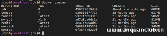 图片[3]-docker 中配置 eureka的方法_docker-渗透云记 - 专注于网络安全与技术分享