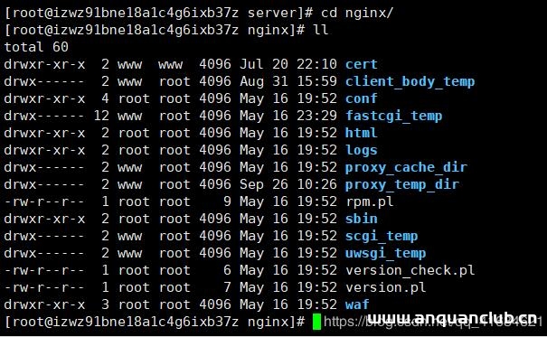 图片[6]-nginx+tomcat 通过域名访问项目的实例_nginx-渗透云记 - 专注于网络安全与技术分享