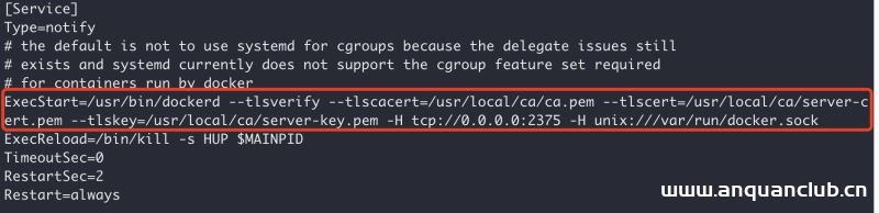 图片[9]-Docker开启远程安全访问的图文教程详解_docker-渗透云记 - 专注于网络安全与技术分享