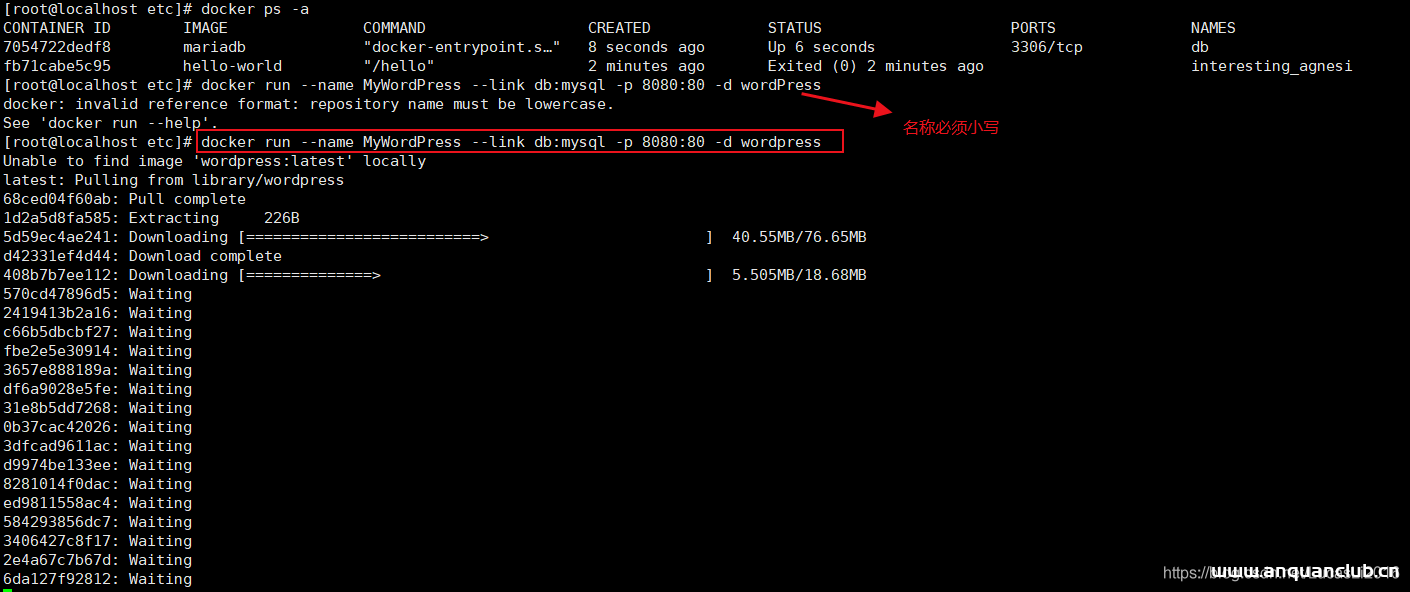 超简单实现Docker搭建个人博文系统_docker-渗透云记 - 专注于网络安全与技术分享