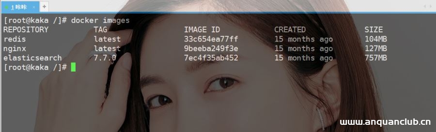 图片[2]-一文搞定Docker安装ElasticSearch的过程_docker-渗透云记 - 专注于网络安全与技术分享