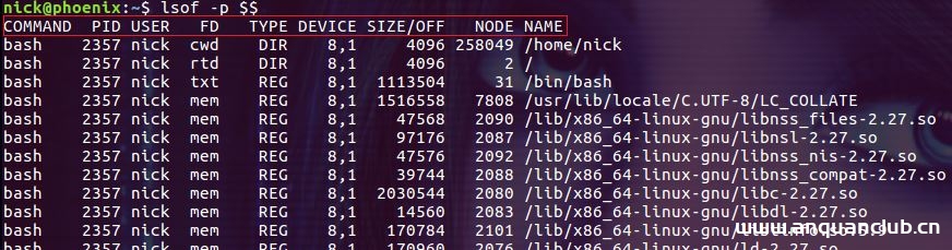 Linux lsof命令使用详解_Linux-渗透云记 - 专注于网络安全与技术分享