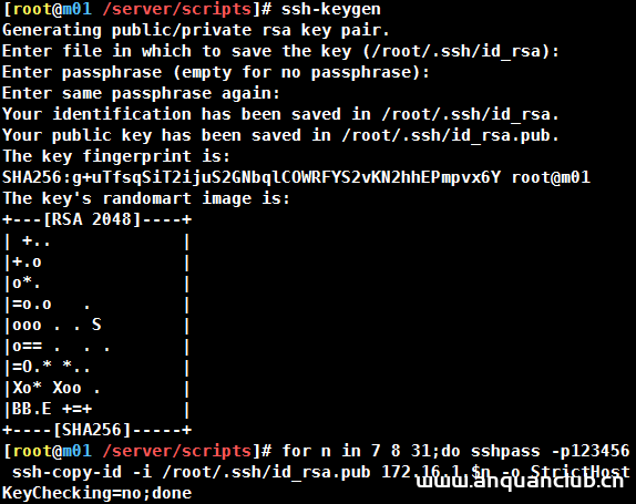 图片[4]-linux如何实现一键部署nfs过程图解_Linux-渗透云记 - 专注于网络安全与技术分享