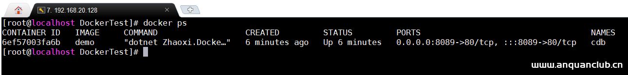 图片[14]-Docker 部署net5程序实现跨平台功能_docker-渗透云记 - 专注于网络安全与技术分享