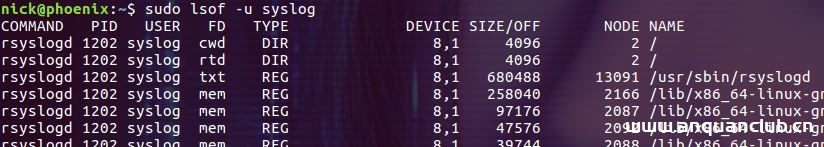 图片[18]-Linux lsof命令使用详解_Linux-渗透云记 - 专注于网络安全与技术分享