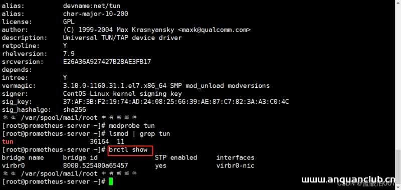 图片[5]-centos7.6批量增加修改删除虚拟网卡操作介绍_Linux-渗透云记 - 专注于网络安全与技术分享