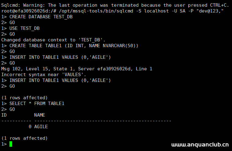 图片[4]-使用Docker运行SQL Server的实现_docker-渗透云记 - 专注于网络安全与技术分享