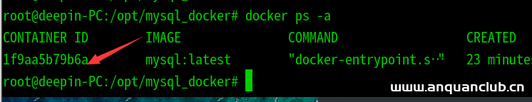 图片[2]-Deepin使用docker安装mysql数据库过程详解_docker-渗透云记 - 专注于网络安全与技术分享