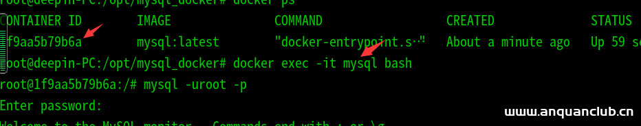 Deepin使用docker安装mysql数据库过程详解_docker-渗透云记 - 专注于网络安全与技术分享