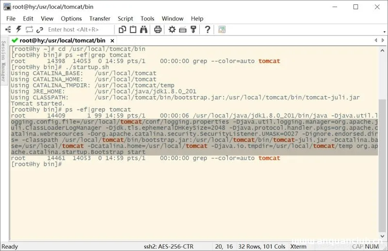 图片[6]-Linux安装与卸载Tomcat8的详细图文教程_Tomcat-渗透云记 - 专注于网络安全与技术分享