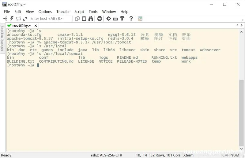 图片[5]-Linux安装与卸载Tomcat8的详细图文教程_Tomcat-渗透云记 - 专注于网络安全与技术分享