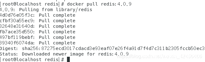 图片[2]-docker安装redis并以配置文件方式启动详解_docker-渗透云记 - 专注于网络安全与技术分享