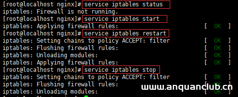 图片[10]-Nginx Linux安装部署详细教程_nginx-渗透云记 - 专注于网络安全与技术分享