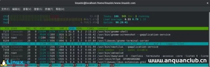 图片[6]-在CentOS 8上安装htop的教程_Linux-渗透云记 - 专注于网络安全与技术分享