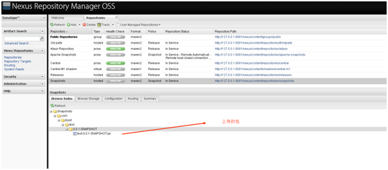 图片[5]-Nexus私服的搭建原理及教程解析_服务器其它-渗透云记 - 专注于网络安全与技术分享