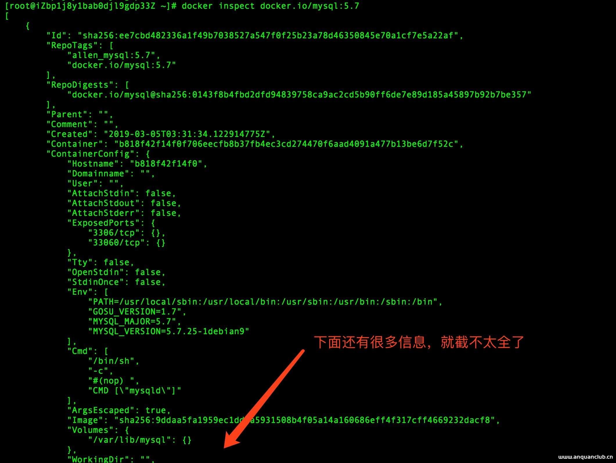 Docker inspect 查看镜像详细信息