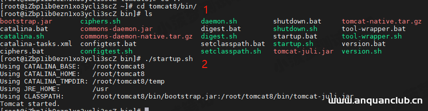 图片[4]-Linux系统centos7.X安装tomcat8的图文教程_Tomcat-渗透云记 - 专注于网络安全与技术分享