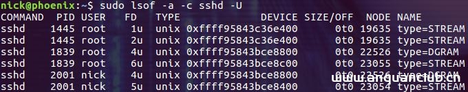 图片[17]-Linux lsof命令使用详解_Linux-渗透云记 - 专注于网络安全与技术分享