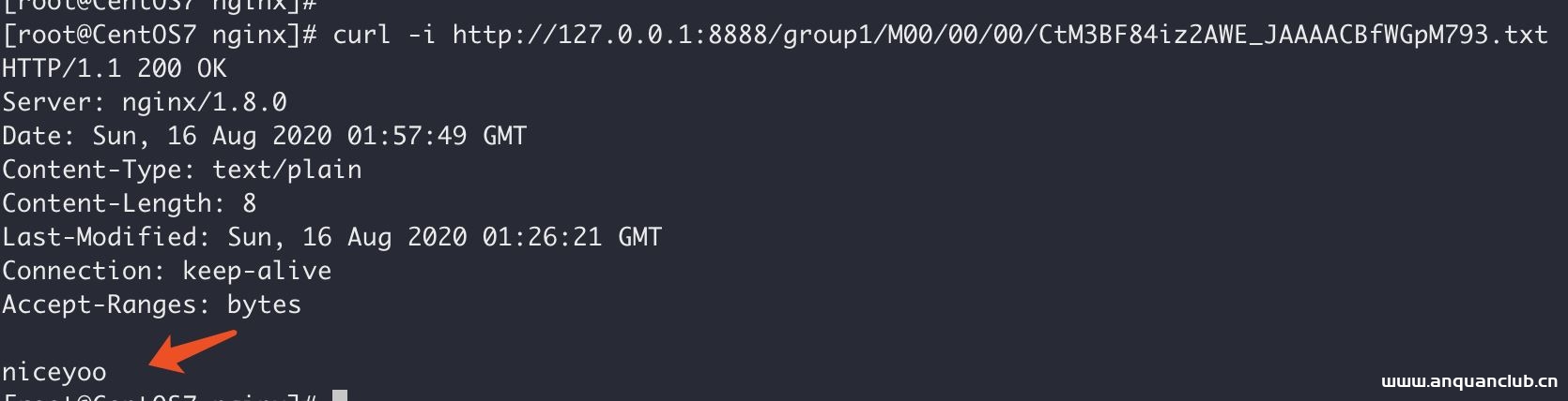 图片[13]-Docker中搭建FastDFS文件系统(多图教程)_docker-渗透云记 - 专注于网络安全与技术分享