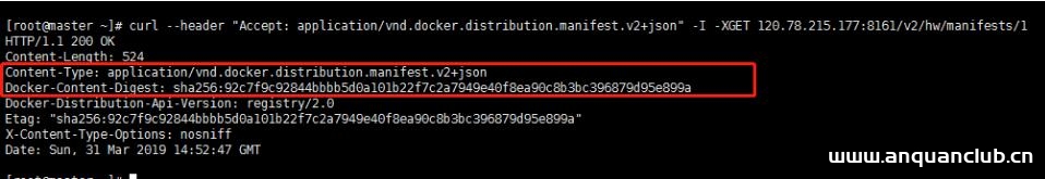 图片[2]-docker镜像完全卸载的操作步骤_docker-渗透云记 - 专注于网络安全与技术分享