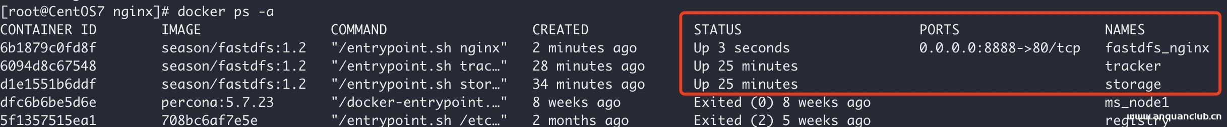 图片[12]-Docker中搭建FastDFS文件系统(多图教程)_docker-渗透云记 - 专注于网络安全与技术分享