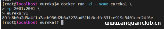图片[10]-docker 中配置 eureka的方法_docker-渗透云记 - 专注于网络安全与技术分享