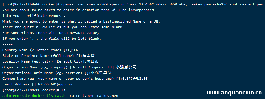 图片[3]-Docker开启TLS和CA认证的方法步骤_docker-渗透云记 - 专注于网络安全与技术分享