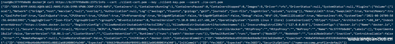 图片[8]-Docker开启TLS和CA认证的方法步骤_docker-渗透云记 - 专注于网络安全与技术分享