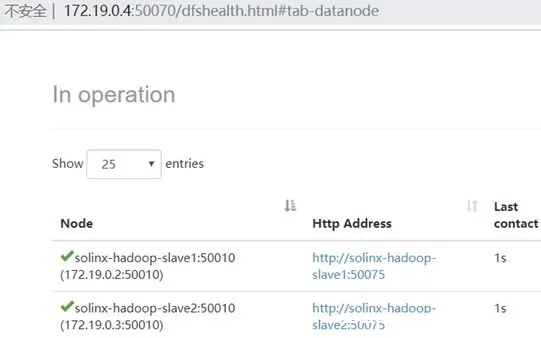 图片[5]-在Docker中跑Hadoop与镜像制作方法_docker-渗透云记 - 专注于网络安全与技术分享