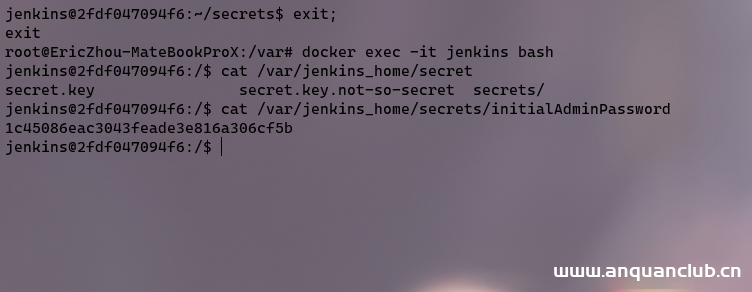 图片[2]-docker搭建jenkins服务的示例_docker-渗透云记 - 专注于网络安全与技术分享