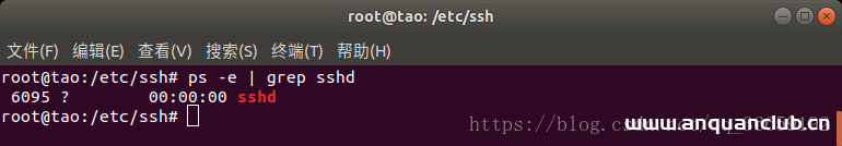 图片[3]-Ubuntu18.04下安装配置SSH服务的方法步骤_Linux-渗透云记 - 专注于网络安全与技术分享