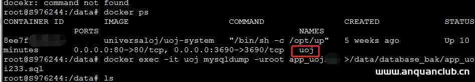 docker 使用mysqldump命令备份导出项目中的mysql数据_docker-渗透云记 - 专注于网络安全与技术分享