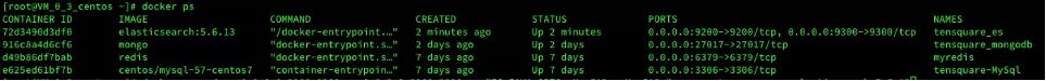 图片[10]-docker 启动elasticsearch镜像,挂载目录后报错的解决_docker-渗透云记 - 专注于网络安全与技术分享