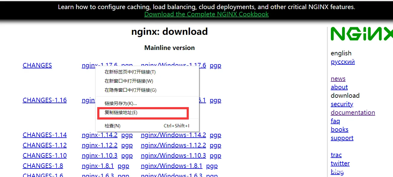 centos8 安装 nginx的详细教程(图文)_Linux-渗透云记 - 专注于网络安全与技术分享