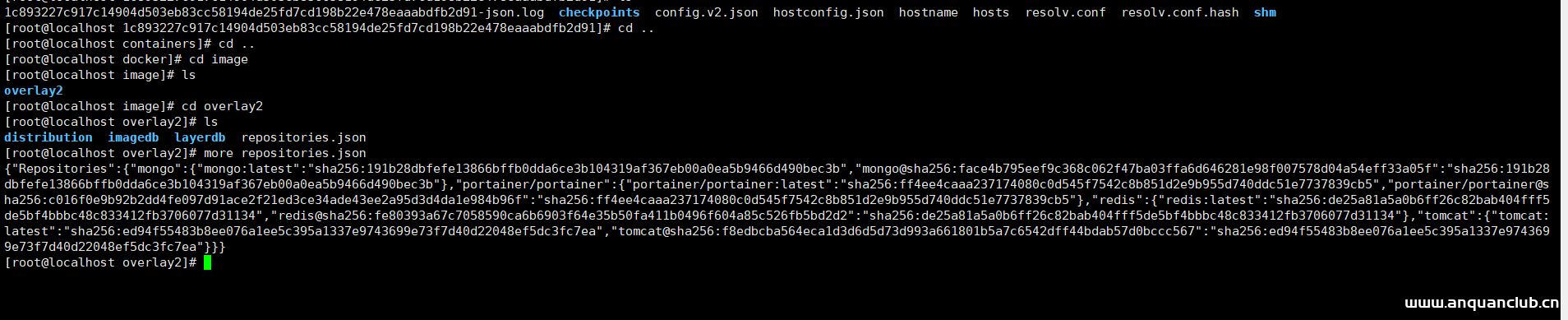 图片[4]-详解docker pull 下来的镜像都存到了哪里_docker-渗透云记 - 专注于网络安全与技术分享