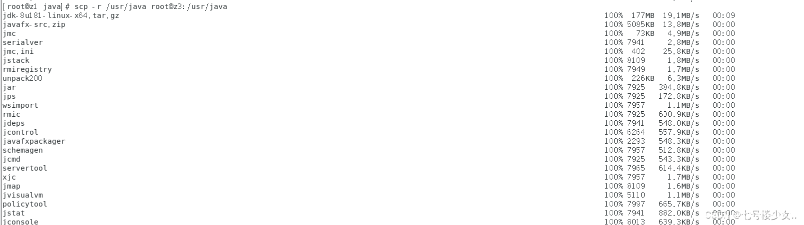 图片[7]-Linux下安装jdk包含卸载OpenJDK介绍_Linux-渗透云记 - 专注于网络安全与技术分享