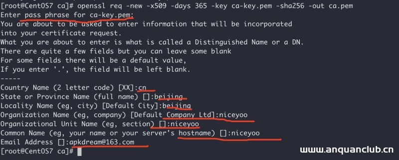 图片[5]-Docker开启远程安全访问的图文教程详解_docker-渗透云记 - 专注于网络安全与技术分享