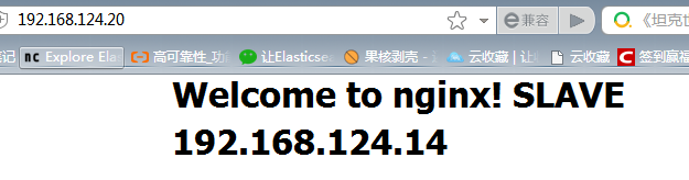 图片[7]-Nginx+Keepalived实现双机主备的方法_nginx-渗透云记 - 专注于网络安全与技术分享