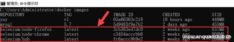图片[3]-基于Docker+Selenium Grid的测试技术应用示例代码_docker-渗透云记 - 专注于网络安全与技术分享