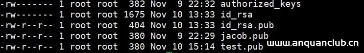 图片[12]-xshell 远程登陆CentOS7 免密登陆的思路详解_Linux-渗透云记 - 专注于网络安全与技术分享