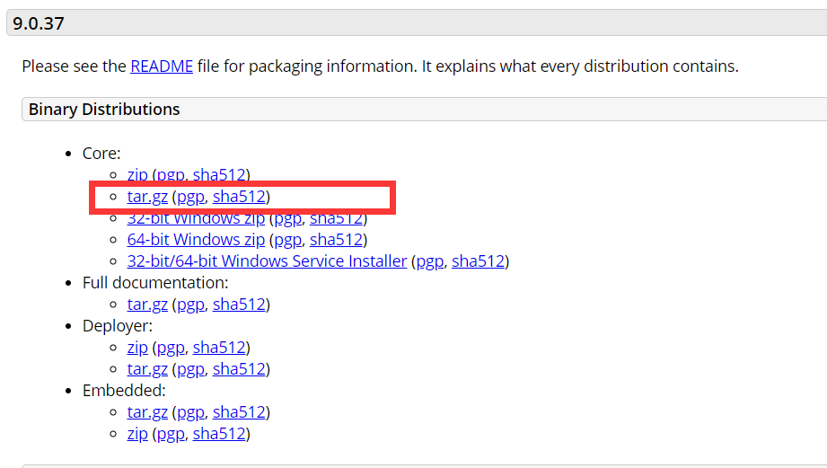 图片[3]-Tomcat CentOS安装实现过程图解_Tomcat-渗透云记 - 专注于网络安全与技术分享