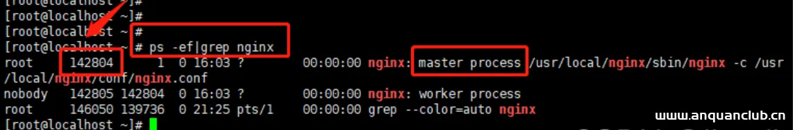Linux中nginx如何重启、启动与停止/设置开机自启动-渗透云记 - 专注于网络安全与技术分享