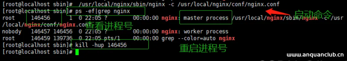 图片[3]-Linux中nginx如何重启、启动与停止/设置开机自启动-渗透云记 - 专注于网络安全与技术分享